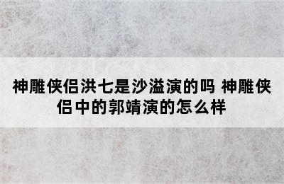 神雕侠侣洪七是沙溢演的吗 神雕侠侣中的郭靖演的怎么样